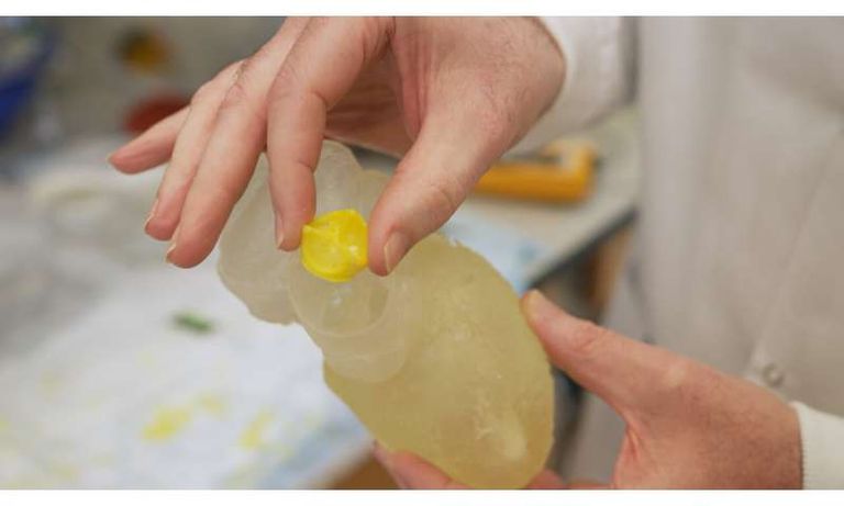 سكوت هولستر مع صمام القلب القابل للتحلل