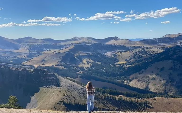 بيلي هاتشينز