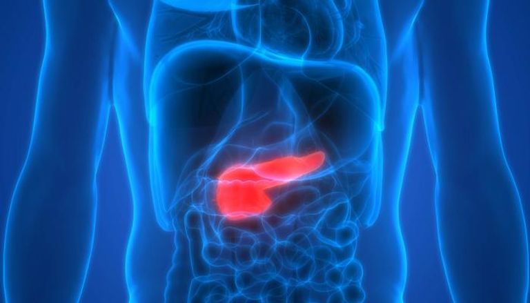 الفريق البحثي أثناء العمل على تطوير اختبار الدم