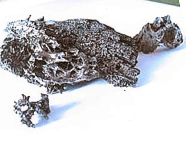 علماء روس في موقع الارتطام