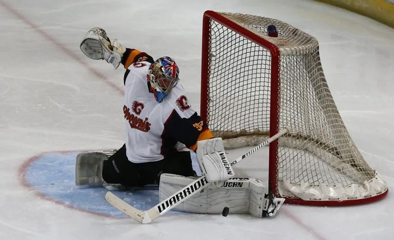 بيتر تشيك الويلزي غاريث بيل