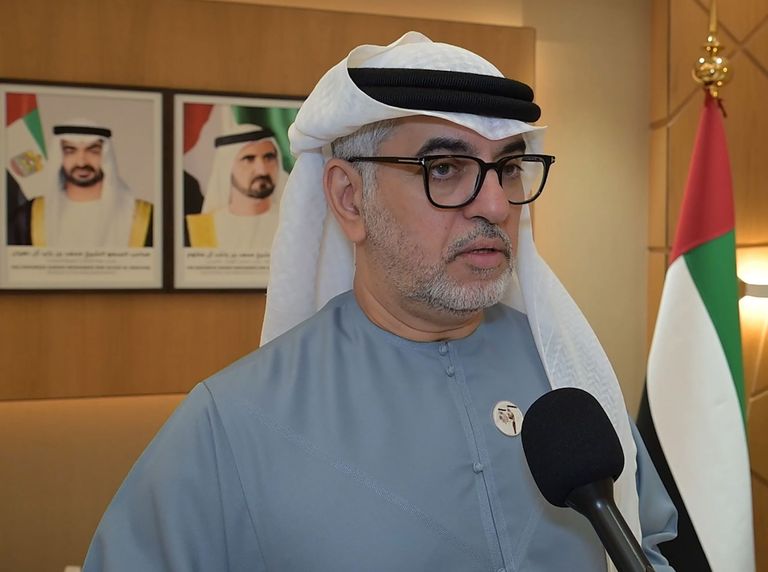 المساعدات الإماراتية إلى غزة