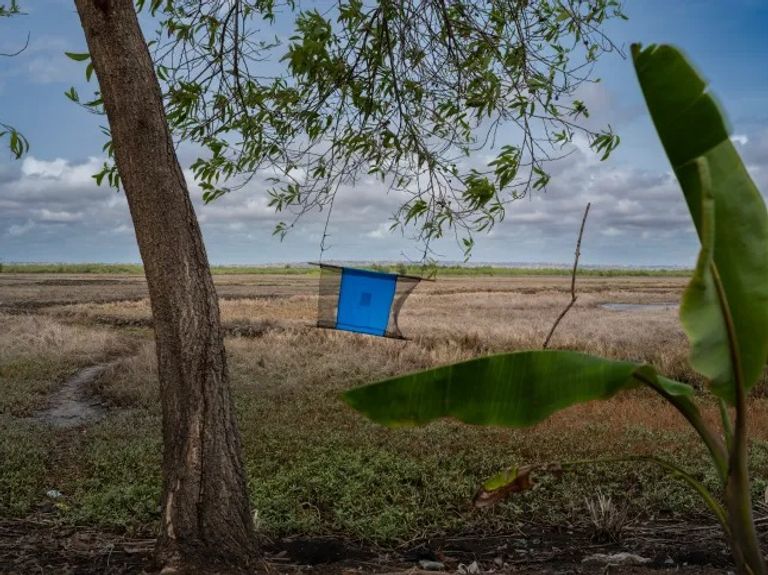 إنجاز طبي غير مسبوق في غينيا