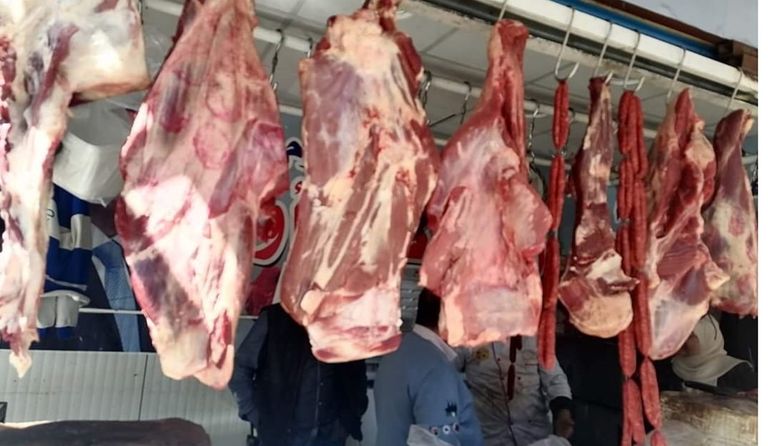 اللحوم في منافذ وزراة الزراعة المصرية