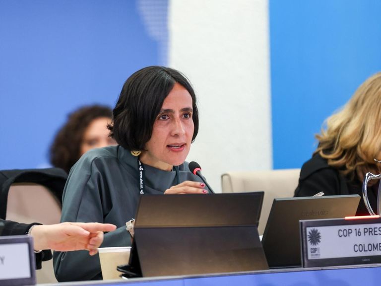 المؤتمر السادس عشر (COP16) لاتفاقية التنوع البيولوجي