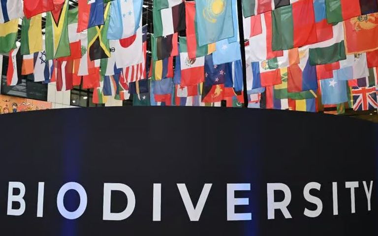 المؤتمر السادس عشر (COP16) لاتفاقية التنوع البيولوجي