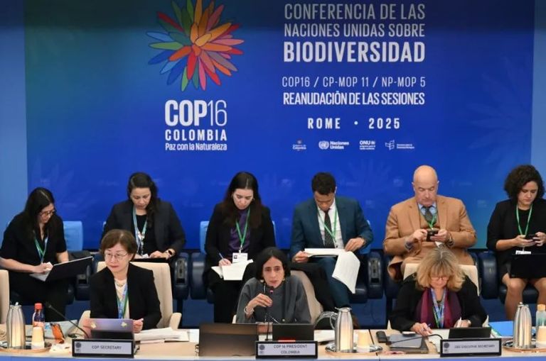 المؤتمر السادس عشر (COP16) لاتفاقية التنوع البيولوجي