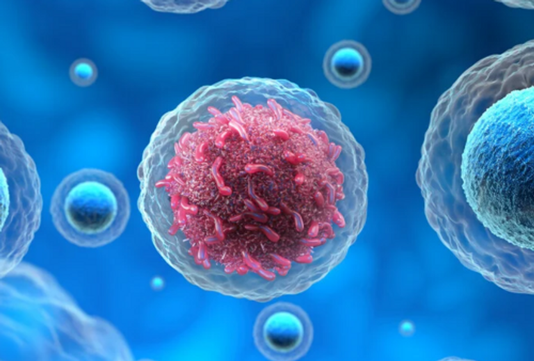 المركبات الجديدة تستهدف خلايا السرطان