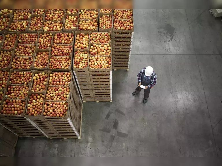 استيراد الطعام في أمريكا الولايات المتحدة تغرق في استيراد الغذاء