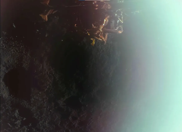 منظر قريب للأرض كما تنعكس في اللوحة الشمسية للمركبة 