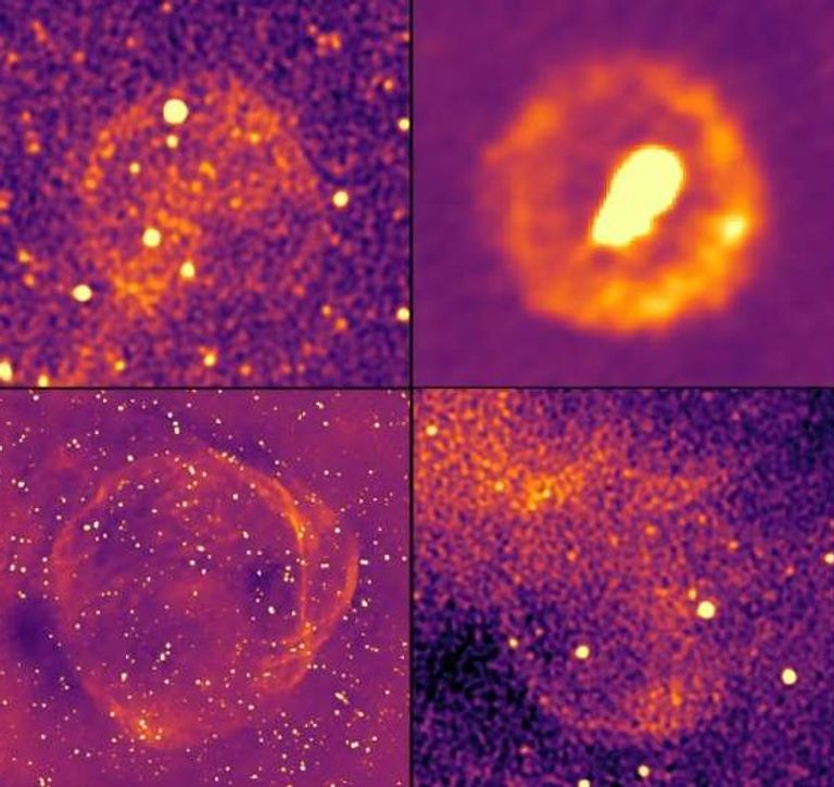 بعض الأشياء التي التُقطت بواسطة
