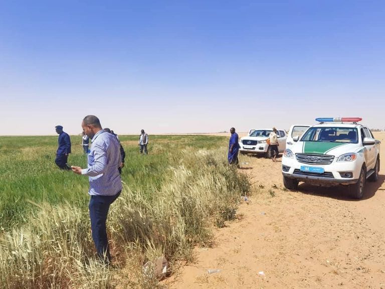 أزمة الجراد الصحراوي الجراد الصحراوي