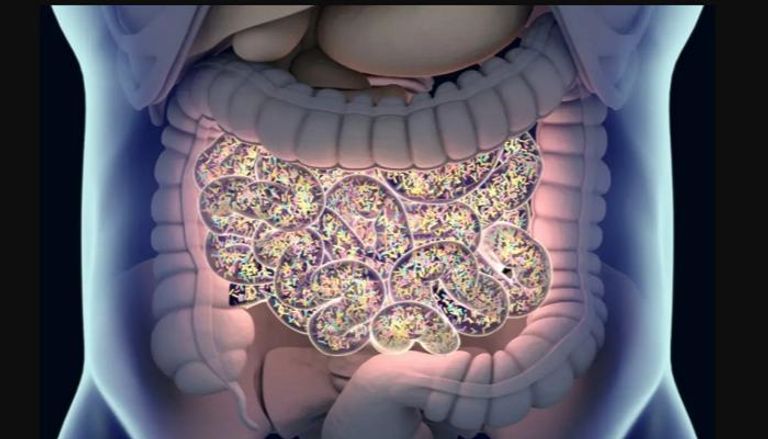صيام رمضان يعزز التوازن الميكروبي بالأمعاء