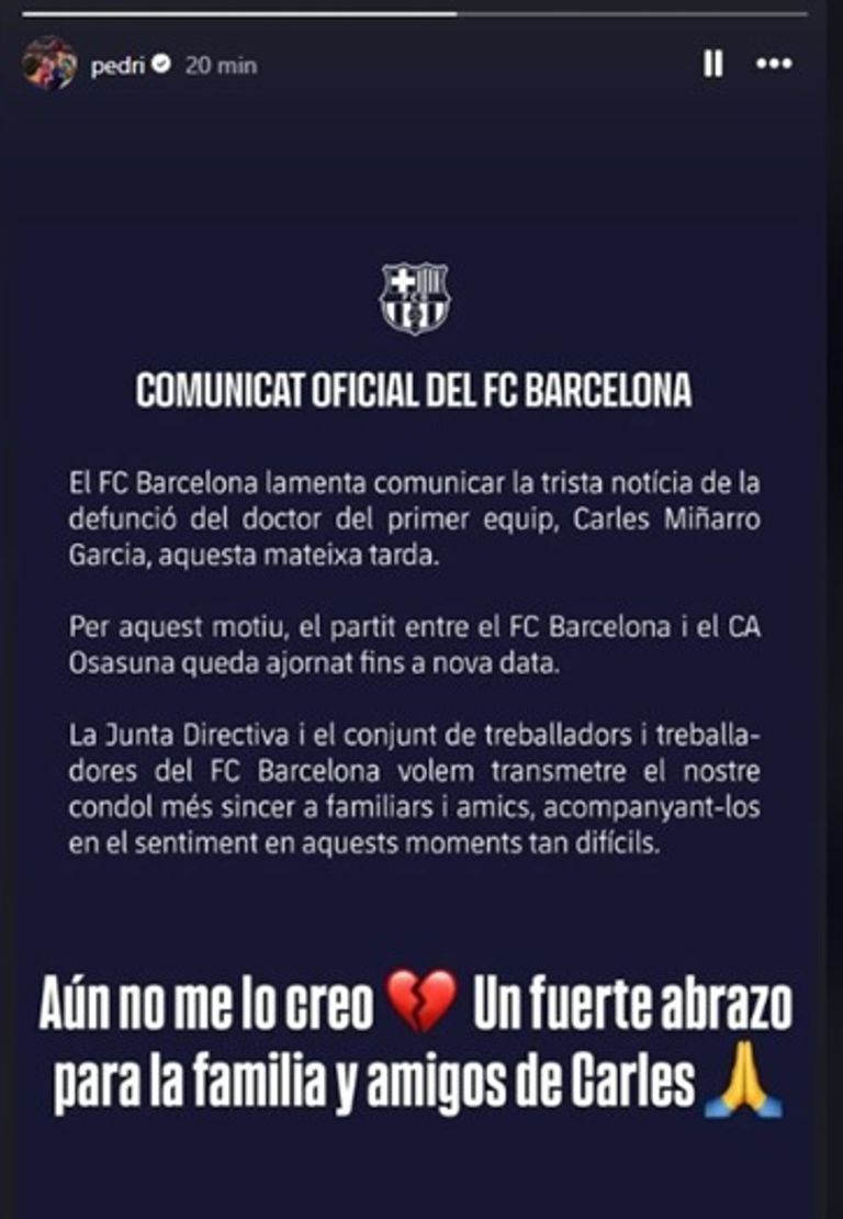 بيدري كارليس مينيارو