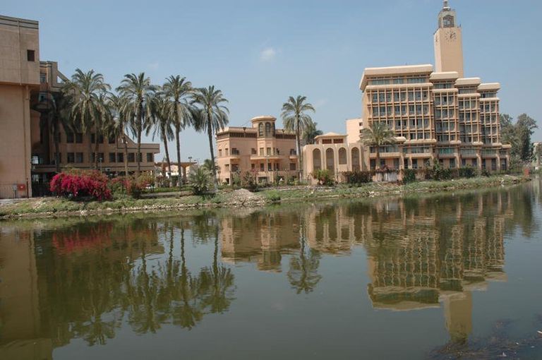 جامعة المنوفية - أرشيفية