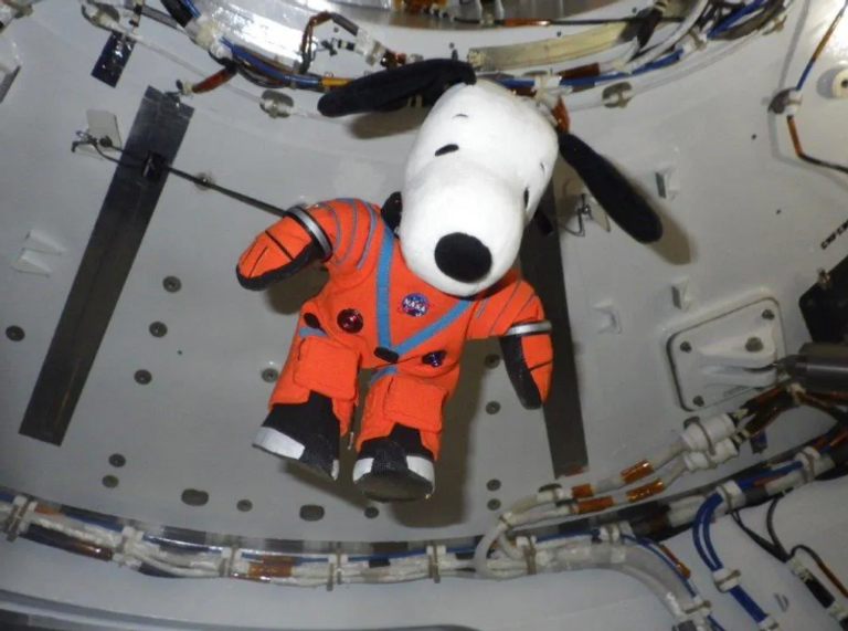 قائد أرتميس 2 ريد وايزمان يحمل تميمة مهمته السابقة