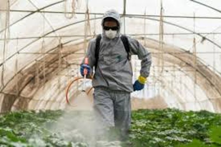 نشاط إنزيم الكولينستيراز ينخفض في دم المزراعين بالعراق نتيجة استخدام المبيدات