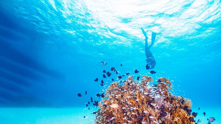 جانب من انطلاق القمة العالمية للمحيطات 