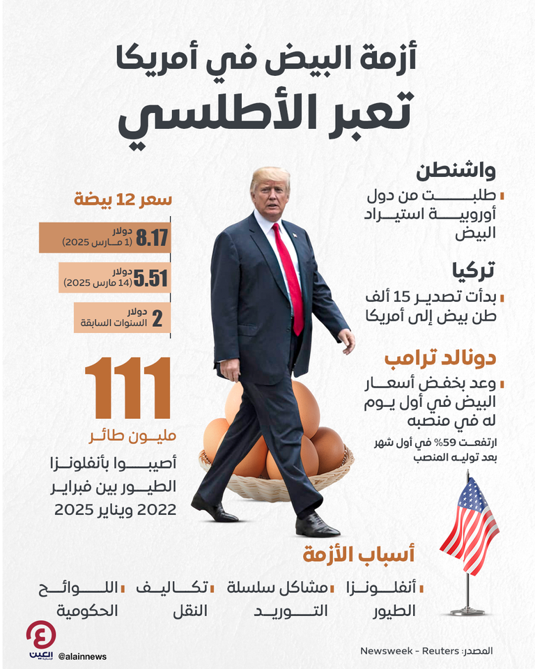 أسعار البيض تسجل قمة تاريخية في أمريكا.. ترامب يبحث عن حل لدى أوروبا ارتفاع أسعار البيض في أمريكا