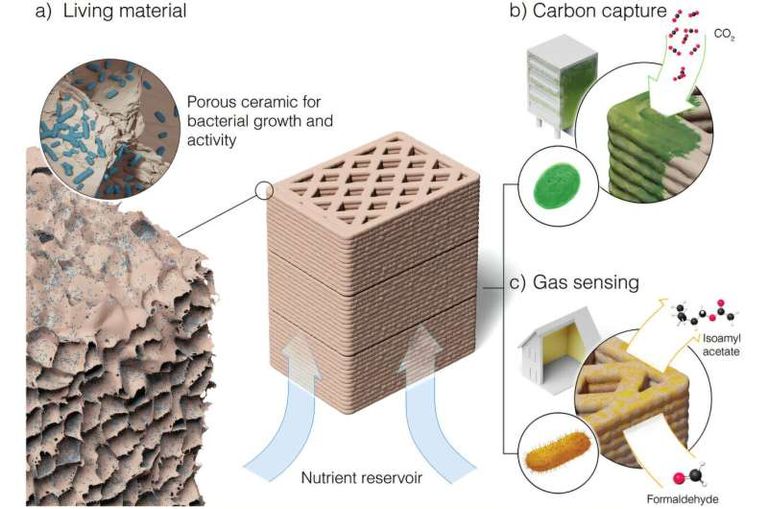 "خزف حي" مدعم بالبكتيريا