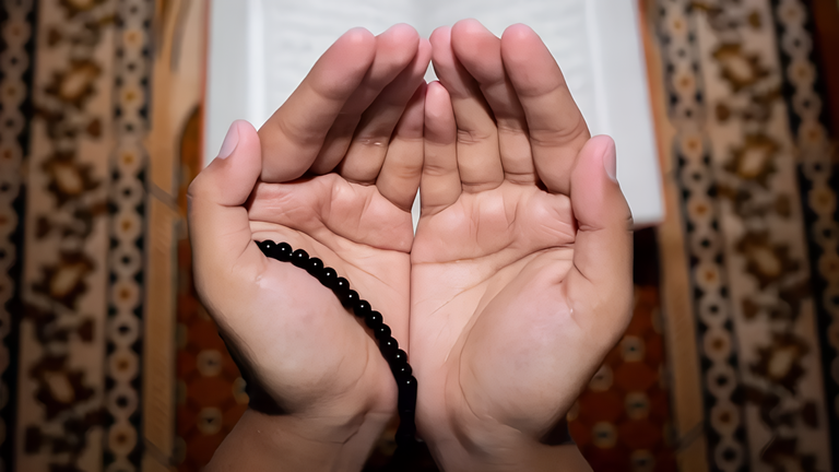 عدد ركعات صلاة التهجد خطوات بسيطة للمداومة على صلاة التهجد