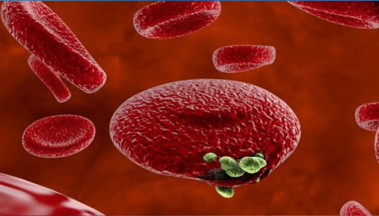 تحذيرات منظمة الصحة العالمية بسبب الملاريا تحذيرات منظمة الصحة العالمية بسبب الملاريا