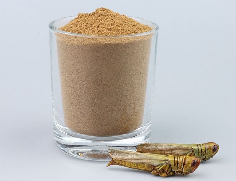مسحوق الجراد تم استخدامه في إنتاج الكعك