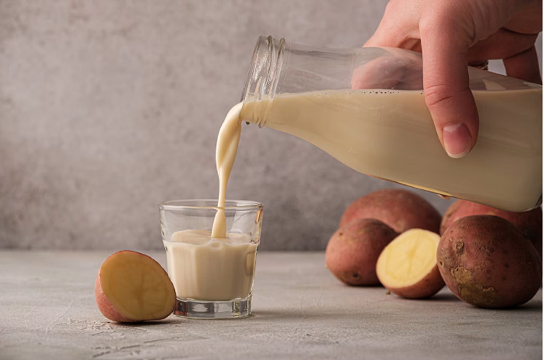 حليب البطاطس المادة الأساسية في صناعة الزبادي