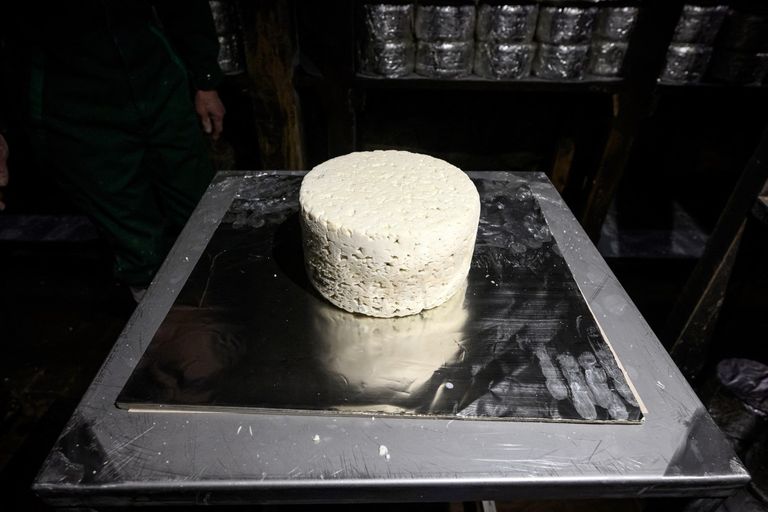 جبنة روكفور - أ ف ب