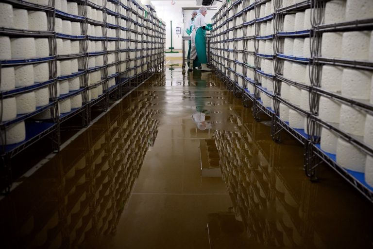 جبنة روكفور - أ ف ب