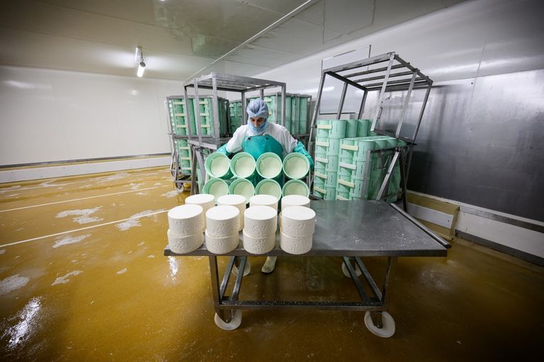 جبنة روكفور - أ ف ب