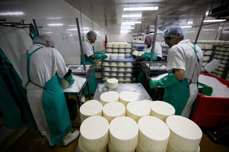 جبنة روكفور - أ ف ب