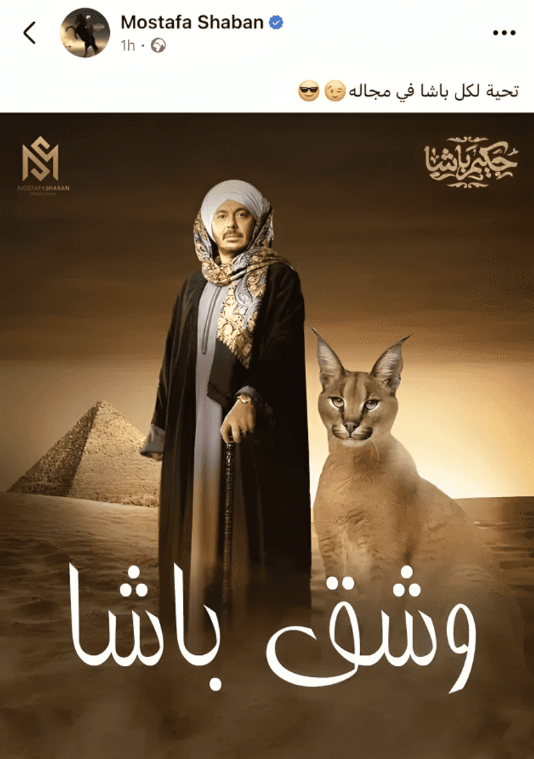 مصطفى شعبان والوشق المصري مصطفى شعبان في حكيم باشا