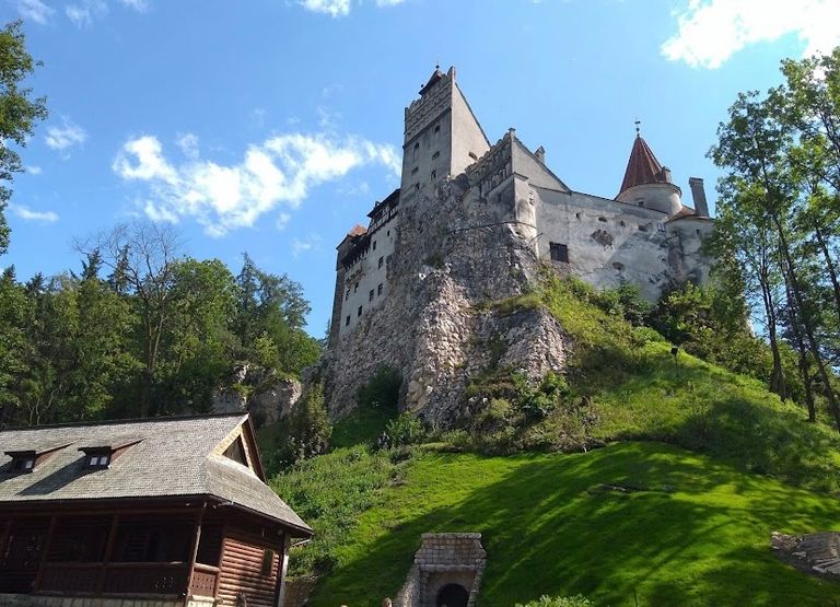 غابة أوكيغاهار باليابان أحد أشهر الأماكن المخيفة في العالم