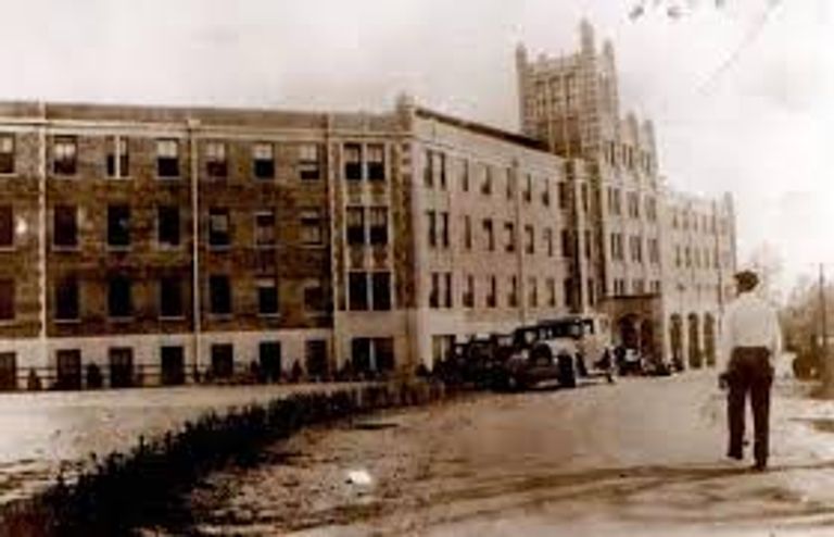 غابة أوكيغاهار باليابان أحد أشهر الأماكن المخيفة في العالم