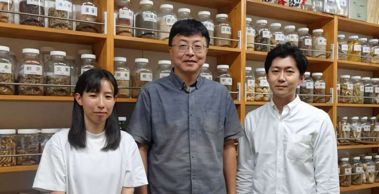 نبات "أونيشيباري" المعروف علميًا باسم "دافني سودوميزيريوم"