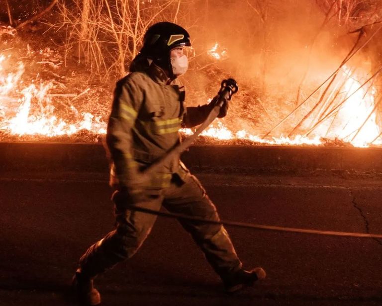حرائق غابات في كوريا الجنوبية