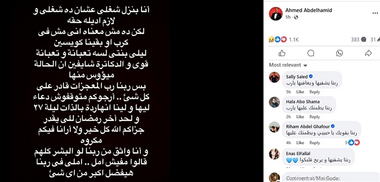 الفنان أحمد عبد الحميد الفنان أحمد عبد الحميد