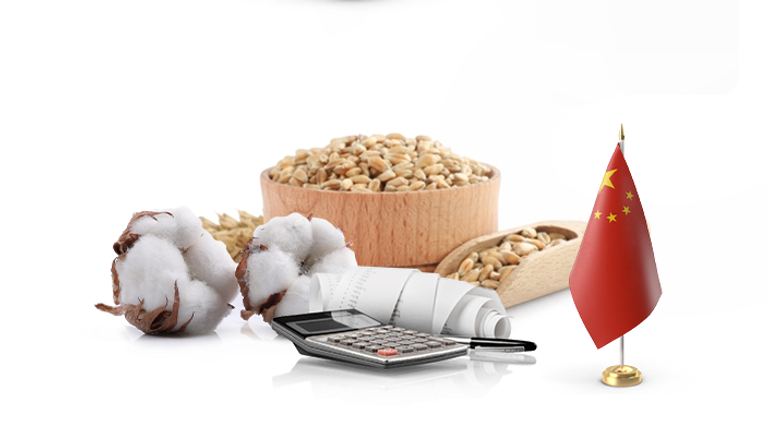 الرئيس الصيني شي جين بينغ - رويترز