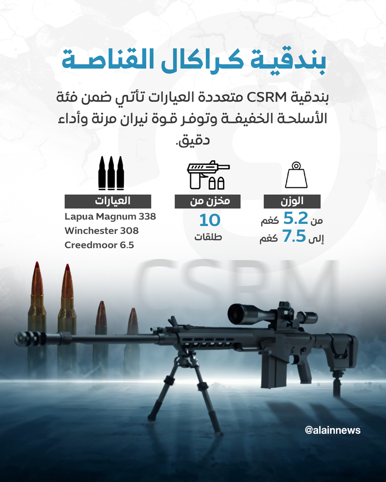 الإمارات تكافح الجرائم الرقمية