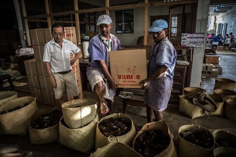 صادرات مدغشقر مصانع الجينز في ليسوتو