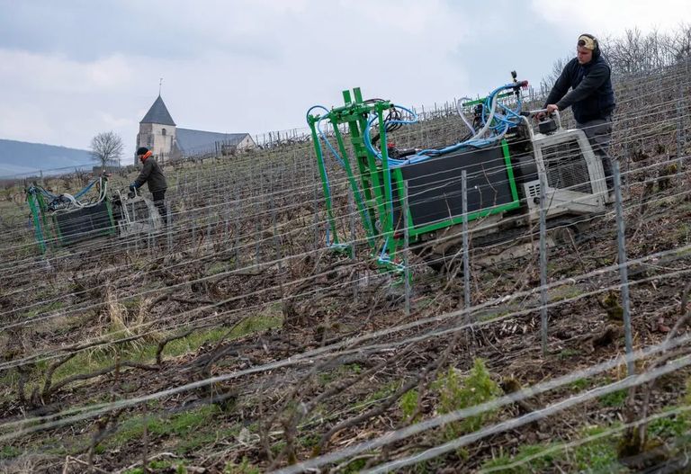 الزراعة في أوروبا صناعة السيارات في أوروبا