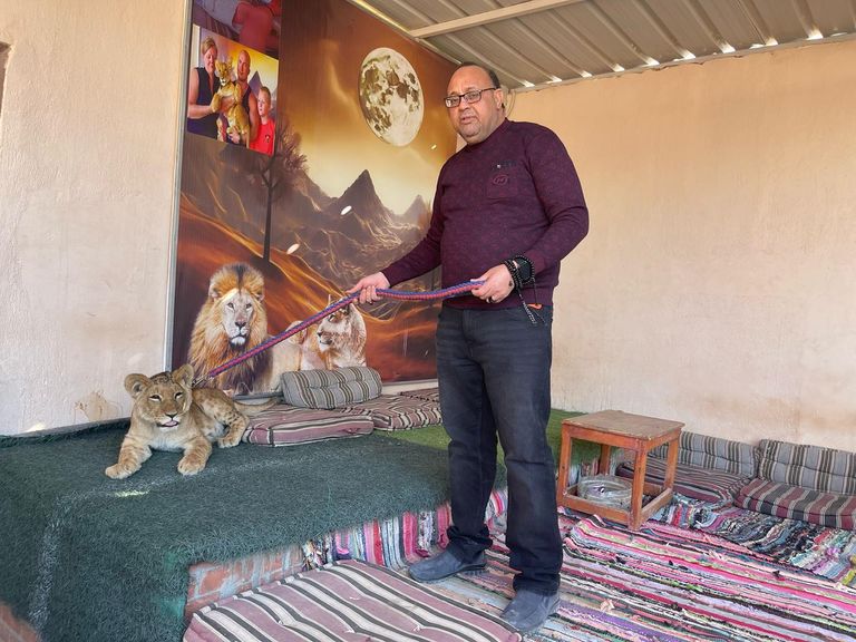 الأسد المصادر