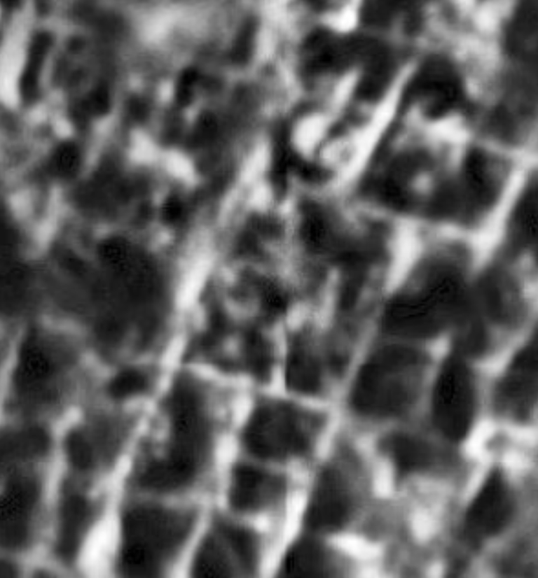 جورج هاس اعتمد في نظريته على تحليل صور مهام المريخ 