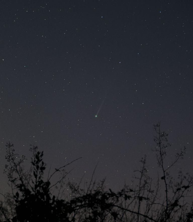 المذنب "سوان 25 ف"