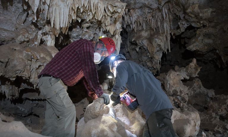 صورة تُبرز التكوينات الصخرية المدهشة
