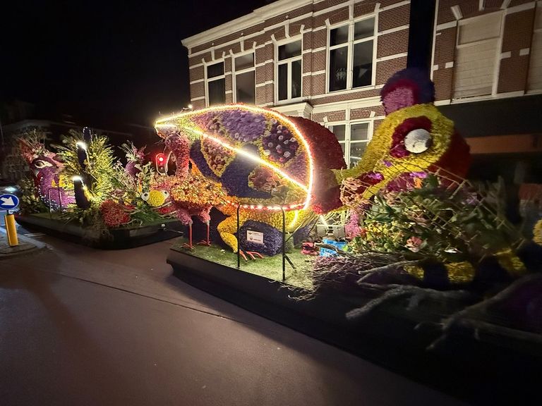 احتفالات الربيع في هولندا