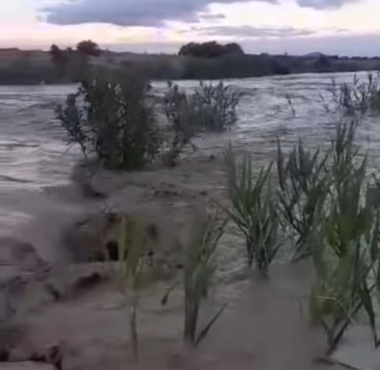 أمطار غزيرة في تونس