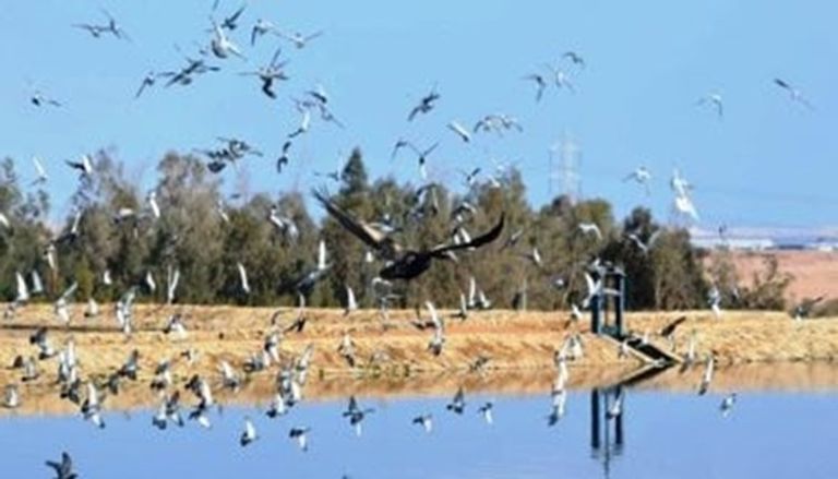 محمية الزرانيق وسبخة البردويل خروجات شم النسيم في مصر 2025