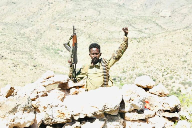 جانب من قوات دراويش بونتلاند